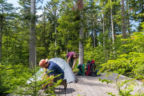 Die zehn Trekking-Camps im nördlichen und mittleren Schwarzwald waren in der diesjährigen Saison nahezu ausgebucht. Die meisten Buchungen gingen an dem Tag ein, an dem die Buchungsplattform geöffnet wurde.