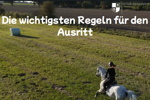 Das Ordnungsamt informiert über wichtige Regeln für Reiterinnen und Reiter.