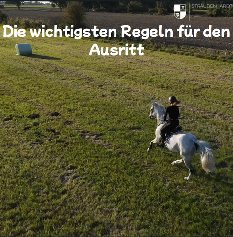 Das Ordnungsamt informiert über wichtige Regeln für Reiterinnen und Reiter.