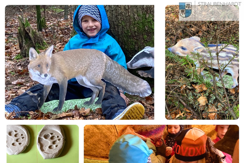 Frau Kienzle zeigte den Kindern anhand von 2 präparierten Tieren den Körperbau unserer Waldbewohner.