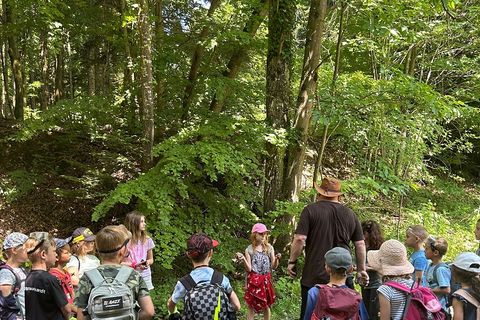 Die Kinder hören gespannt Dr. Mergele bei der Geotour zu.