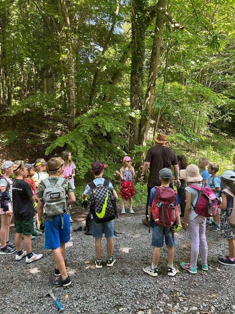 Die Kinder hören gespannt Dr. Mergele bei der Geotour zu.
