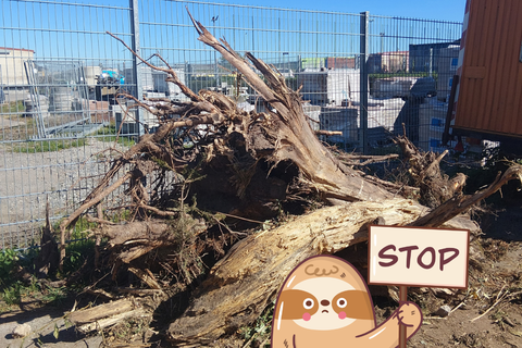 Aktuell wurden große Wurzeln und Müll auf unserem Grünabfallplatz abgelegt!