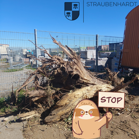 Aktuell wurden große Wurzeln und Müll auf unserem Grünabfallplatz abgelegt!