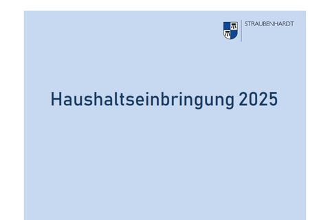 Haushaltsrede von Bürgermeister Helge Viehweg am 06.11.2024