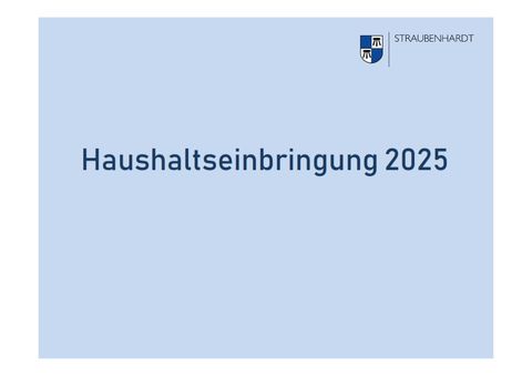 Haushaltsrede von Bürgermeister Helge Viehweg am 06.11.2024