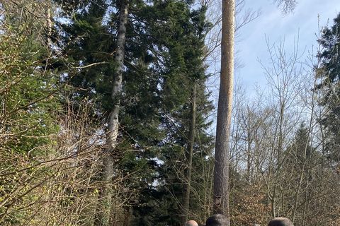 Viele Bürgerinnern und Bürger begleiteten Bürgermeister Helge Viehweg, den Gemeinderat und die Experten in den Wald.