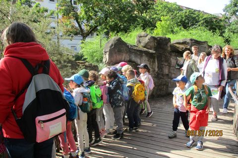 Die Vorschüler bestaunen viele tolle Tiere.
