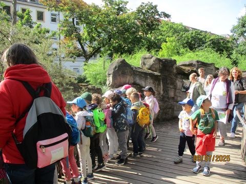 Die Vorschüler bestaunen viele tolle Tiere.