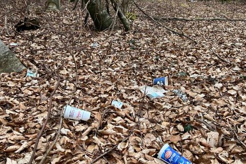 Müll im Wald ist nicht nur schädlich für die Umwelt, sondern auch kein schöner Anblick. Helfen Sie also mit – beim Waldputztag am 21. März!
