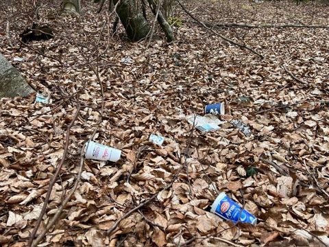Müll im Wald ist nicht nur schädlich für die Umwelt, sondern auch kein schöner Anblick. Helfen Sie also mit – beim Waldputztag am 21. März!