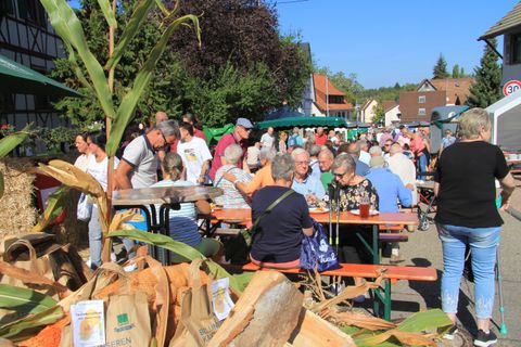 Tolle Stimmung in Feldrennach: Ortskern mit rund 40 Marktständen, Kinderangeboten und Musik belebt – Wilde Sau, Apfelwaffeln oder Senfprodukte zum Genießen