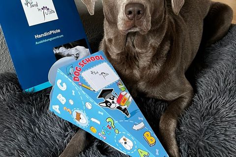 Neyla ist ein echter Gewinn für die Kita Kunterbunt und die gemeinsame Arbeit bereitet sowohl ihr, als auch den Kindern viel Freude.