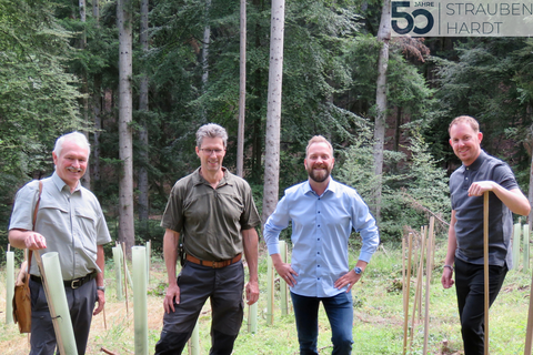 Fritz Kramer von der Schutzgemeinschaft Deutscher Wald, Forstrevierleiter Michael Bruder, Boris Heller, technischer Geschäftsführer der GVP, und Helge Viehweg Bürgermeister der Gemeinde Straubenhardt beim Pflanzen der Bäume. (von links)