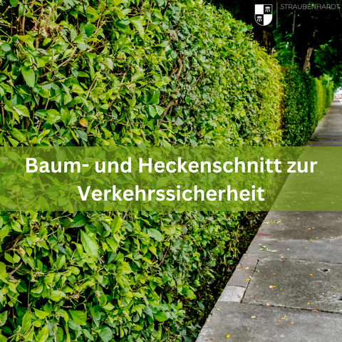 Freie Wege für alle – bitte Rückschnitt nicht vergessen!