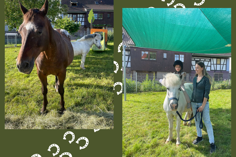 Erzieherin Frau Weber brachte für eine Woche ihr Pferd und ihr Pony in die Kita Wirbelwind.