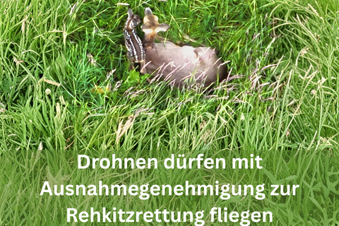 Rehkitze sind im hohen Gras oft nicht zu erkennen, daher werden die Felder vorher mit Drohnen abgeflogen.