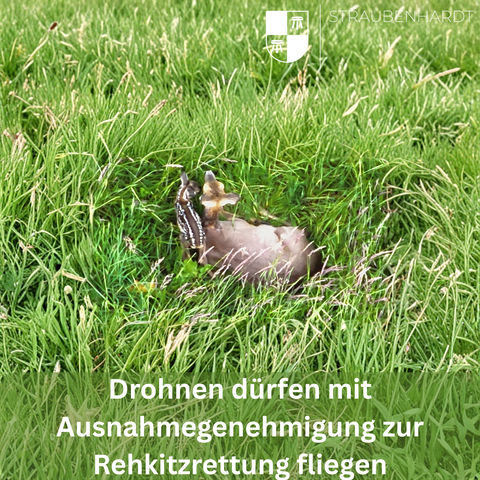 Rehkitze sind im hohen Gras oft nicht zu erkennen, daher werden die Felder vorher mit Drohnen abgeflogen.