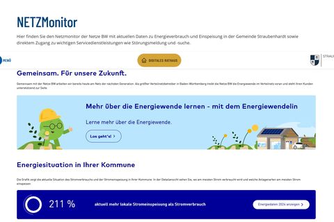 Screenshot des Netzmonitors.