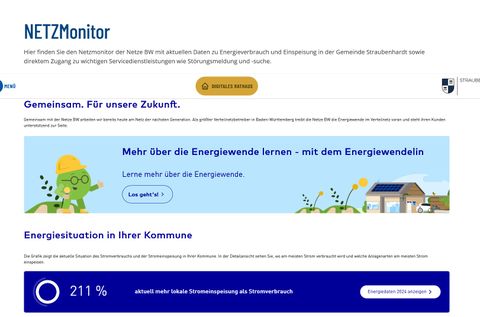 Screenshot des Netzmonitors.