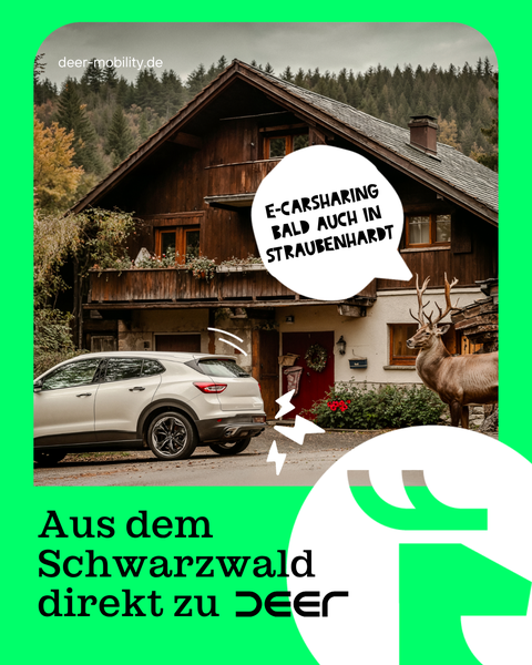 Mit den neuen Ladesäulen wird das Angebot für eine zukunftsorientierte und umweltfreundliche Mobilität in Straubenhardt erweitert.