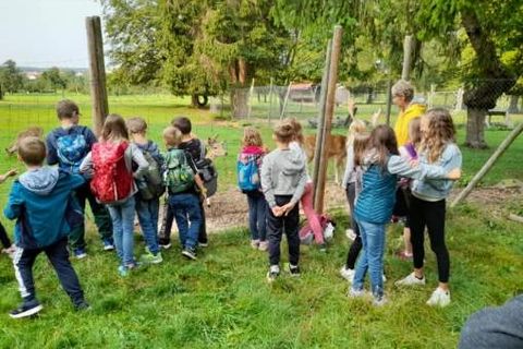 Zu Besuch beim Wildgehege in Schwann 