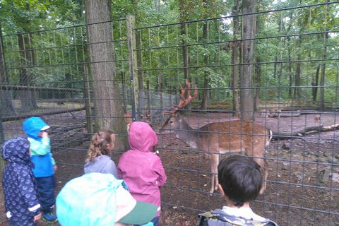 . Mit leuchtenden Augen wurden Rehe, Ziegen und Alpakas gefüttert und beobachtet.
