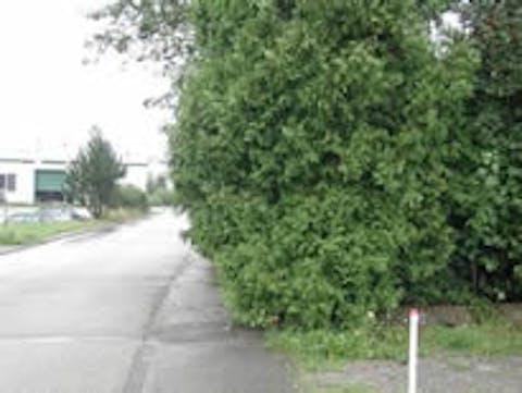 So soll der Gehweg ganz sicher nicht aussehen...