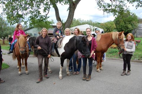 Reiten mit Islandpferden
