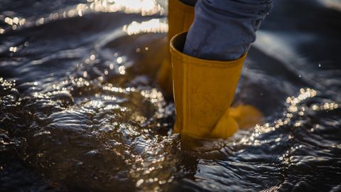 Lesen Sie hier alles zum Thema Hochwasser.